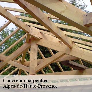 couvreur-charpentier-dg-couverture