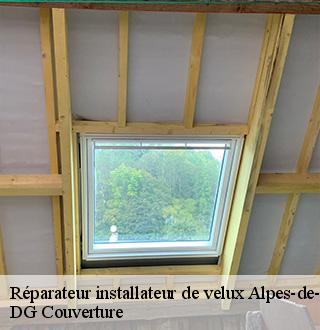 reparateur-installateur-de-velux-dg-couverture