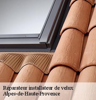 reparateur-installateur-de-velux-dg-couverture