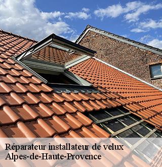reparateur-installateur-de-velux-dg-couverture