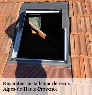 reparateur-installateur-de-velux-dg-couverture