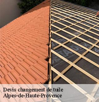 devis-changement-de-tuile-dg-couverture