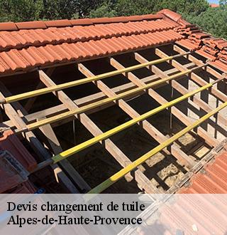 devis-changement-de-tuile-dg-couverture