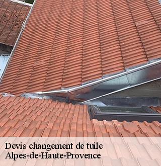 devis-changement-de-tuile-dg-couverture
