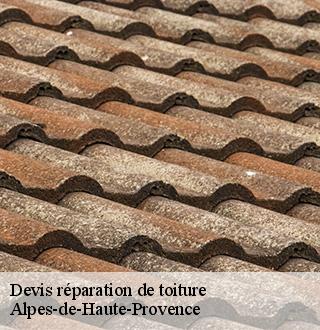 devis-reparation-de-toiture-dg-couverture
