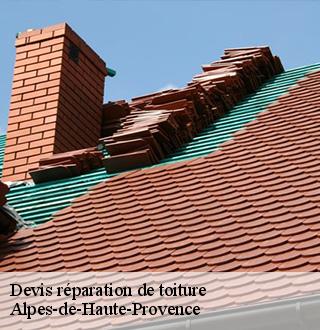 devis-reparation-de-toiture-dg-couverture