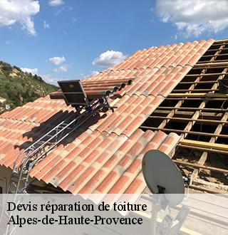 devis-reparation-de-toiture-dg-couverture