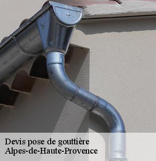 devis-pose-de-gouttiere-dg-couverture