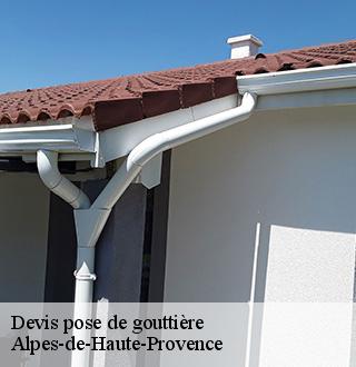 devis-pose-de-gouttiere-dg-couverture