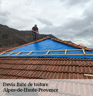 devis-fuite-de-toiture-dg-couverture