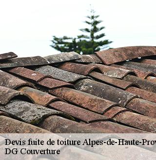 devis-fuite-de-toiture-dg-couverture