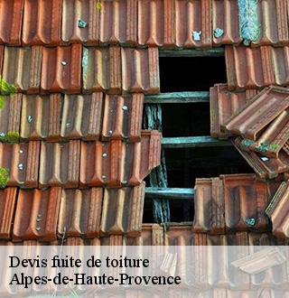 devis-fuite-de-toiture-dg-couverture