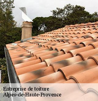 entreprise-de-toiture-dg-couverture