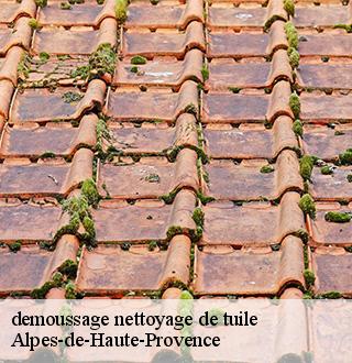 demoussage-nettoyage-de-tuile-dg-couverture