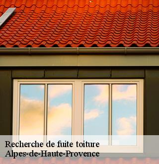 recherche-de-fuite-toiture-dg-couverture