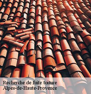 recherche-de-fuite-toiture-dg-couverture