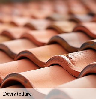 devis-toiture-dg-couverture