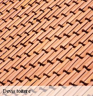 devis-toiture-dg-couverture