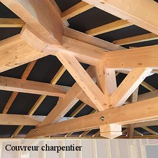 couvreur-charpentier-dg-couverture