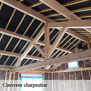 couvreur-charpentier-dg-couverture