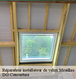 reparateur-installateur-de-velux-dg-couverture