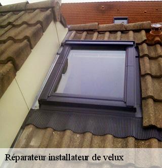 reparateur-installateur-de-velux-dg-couverture