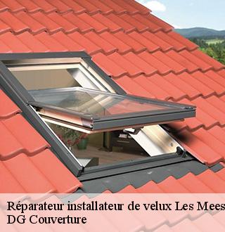 reparateur-installateur-de-velux-dg-couverture