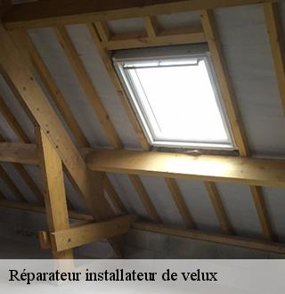 reparateur-installateur-de-velux-dg-couverture