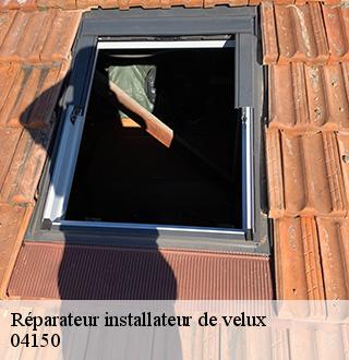 reparateur-installateur-de-velux-dg-couverture