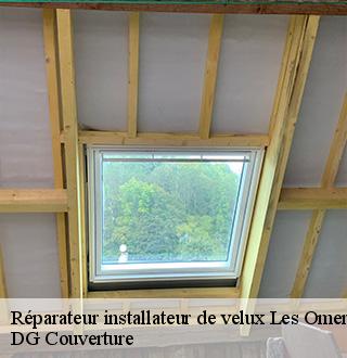 reparateur-installateur-de-velux-dg-couverture