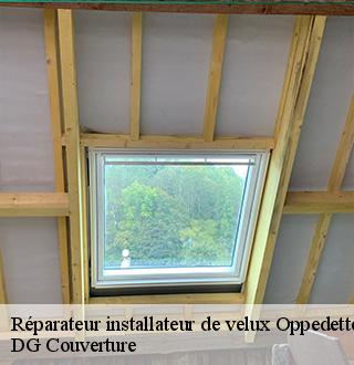 reparateur-installateur-de-velux-dg-couverture