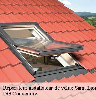 reparateur-installateur-de-velux-dg-couverture