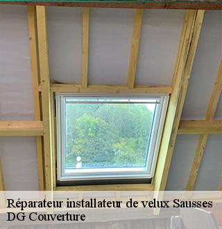 reparateur-installateur-de-velux-dg-couverture