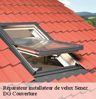 reparateur-installateur-de-velux-dg-couverture