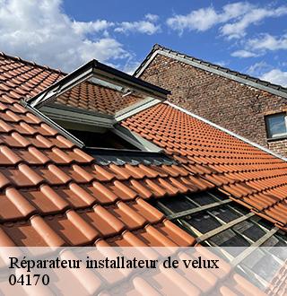 reparateur-installateur-de-velux-dg-couverture