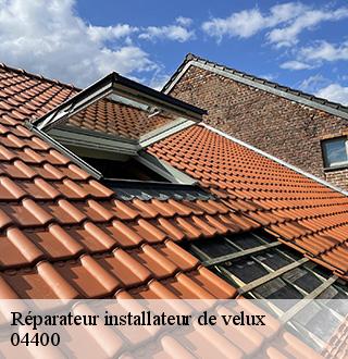 reparateur-installateur-de-velux-dg-couverture