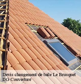 devis-changement-de-tuile-dg-couverture