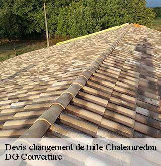 devis-changement-de-tuile-dg-couverture