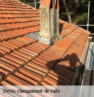 devis-changement-de-tuile-dg-couverture