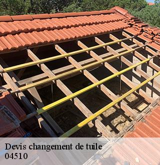 devis-changement-de-tuile-dg-couverture
