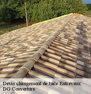 devis-changement-de-tuile-dg-couverture