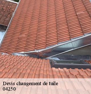 devis-changement-de-tuile-dg-couverture