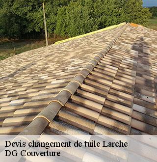 devis-changement-de-tuile-dg-couverture