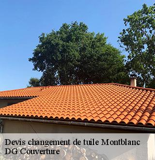 devis-changement-de-tuile-dg-couverture