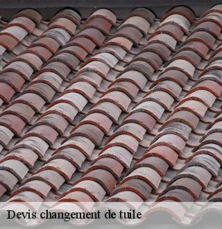 devis-changement-de-tuile-dg-couverture
