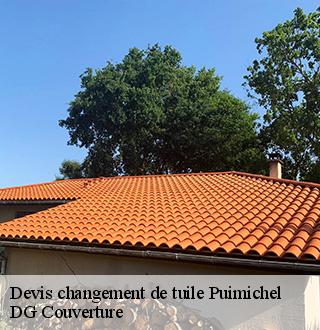 devis-changement-de-tuile-dg-couverture