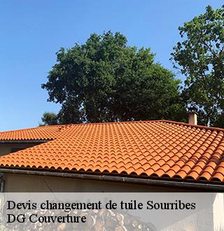 devis-changement-de-tuile-dg-couverture