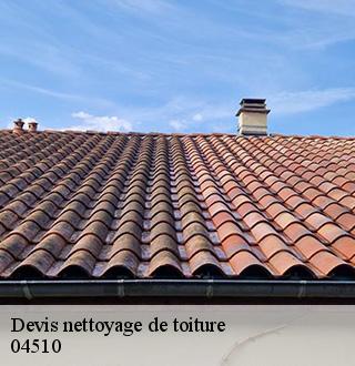 devis-nettoyage-de-toiture-dg-couverture