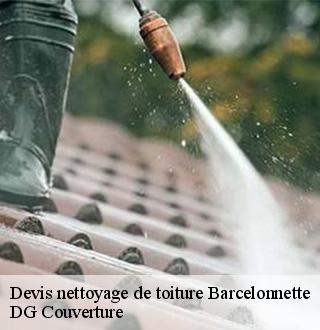 devis-nettoyage-de-toiture-dg-couverture