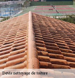 devis-nettoyage-de-toiture-dg-couverture